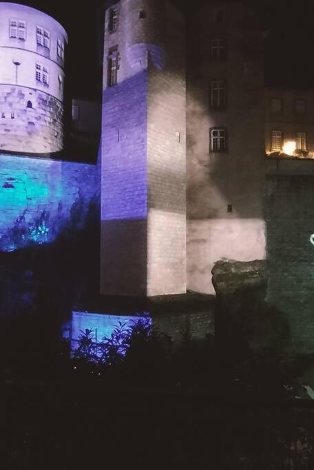 Appartement Au Pied Du Chateau Montbéliard Exteriér fotografie